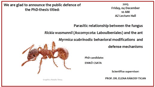 Eniko_Csata_PhD-defence-ad